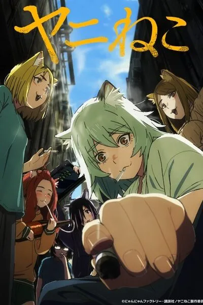 Yani Neko poster