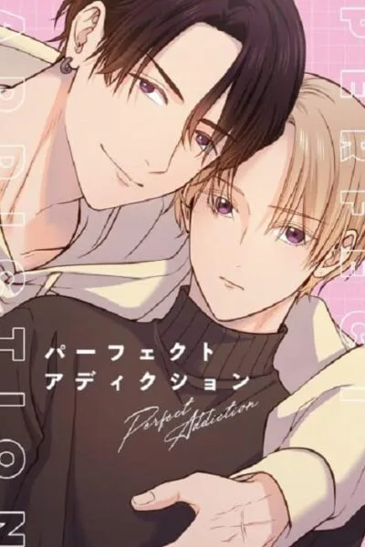 Perfect Addiction poster